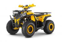 Комплект для сборки квадроцикла  Wels THUNDER Trail 200 желтый