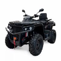 Квадроцикл AODES Pathcross ATV650L Basic EPS черный 2024