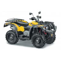 Квадроцикл STELS ATV500YS Леопард желтый 2023