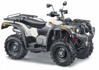 Квадроцикл STELS ATV500YS Леопард  серый черный 2023